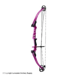 Genesis Archery Mini Genesis Bow (Colors) 9 Genesis Archery Mini Genesis Bow (Colors) -Shooting Gear Store 1570004 purple
