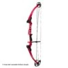 Genesis Archery Mini Genesis Bow (Colors)