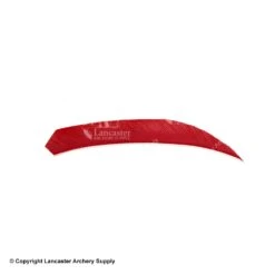 Ozark 4.5" Target Maxx Solid Color Feather -Shooting Gear Store 1610009 hoyt red