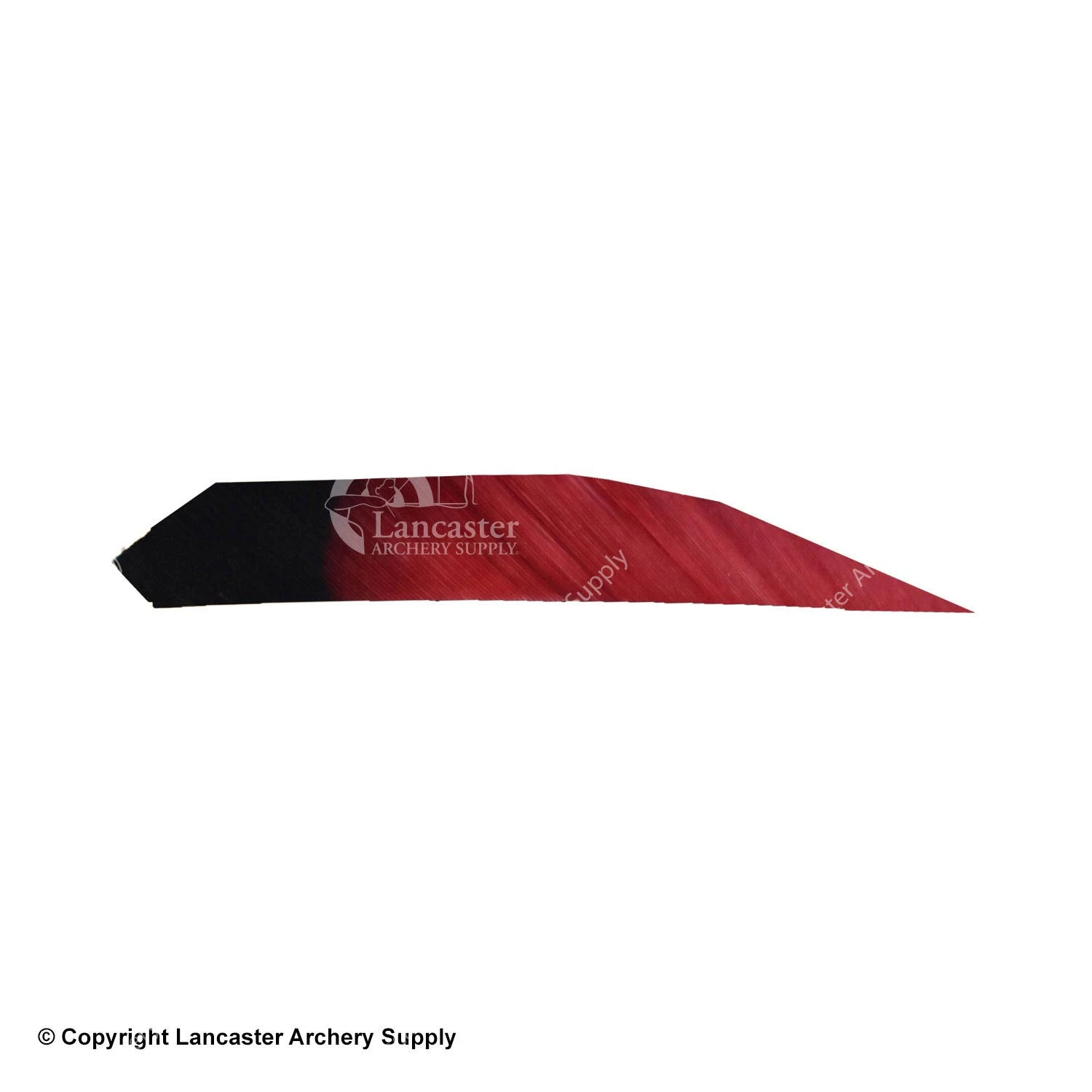 Ozark Eagle Tips 4.5" Target Maxx Feather 2 Ozark Eagle Tips 4.5" Target Maxx Feather - Image 2