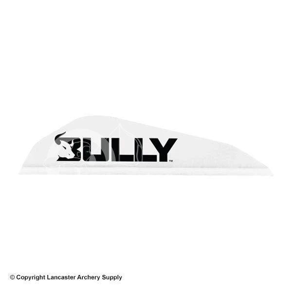 Easton Bully Boattail Vanes 3" (100 Pack) 5 Easton Bully Boattail Vanes 3" (100 Pack) - Image 5