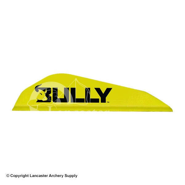 Easton Bully Boattail Vanes 3" (100 Pack) 1 Easton Bully Boattail Vanes 3" (100 Pack)