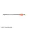 Carbon Express Predator II Fletched Arrow (Feathers)