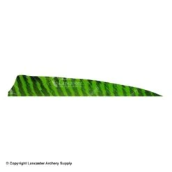 Gateway 5" Shield Barred Feather -Shooting Gear Store 2270004 chartreuse