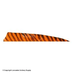 Gateway 5" Shield Barred Feather -Shooting Gear Store 2270004 orange