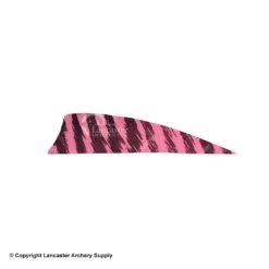 Gateway 3" Shield Barred Feather -Shooting Gear Store 2270005 pink