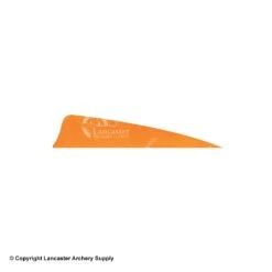 Gateway 4" Shield Feather -Shooting Gear Store 2270007 orange