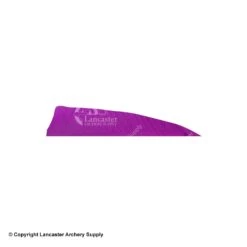 Gateway 4" Shield Feather -Shooting Gear Store 2270007 purple
