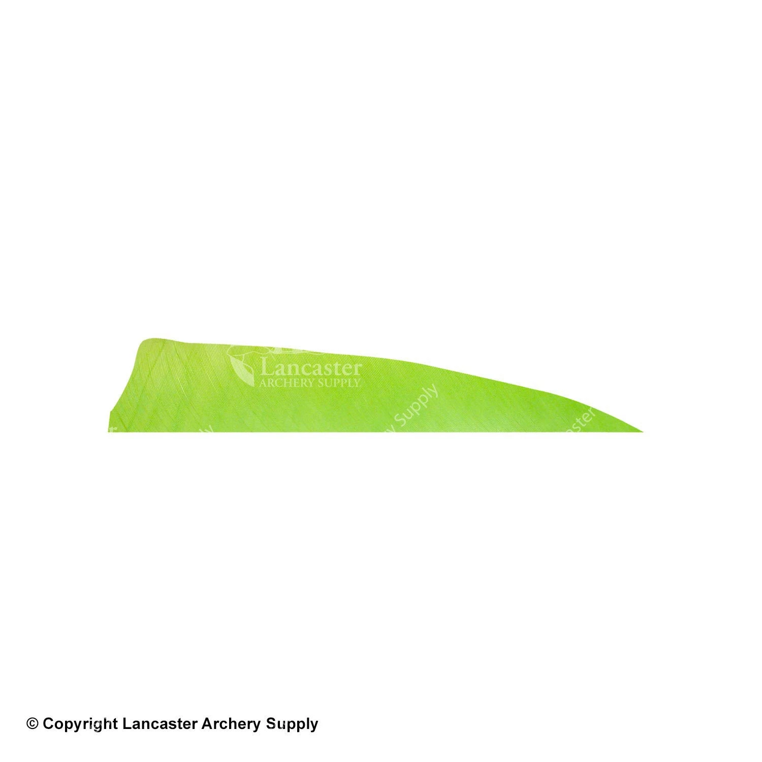 Gateway 5" Shield Feather 4 Gateway 5" Shield Feather - Image 4