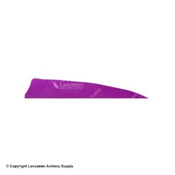 Gateway 5" Shield Feather 31 Gateway 5" Shield Feather -Shooting Gear Store 2270008 purple