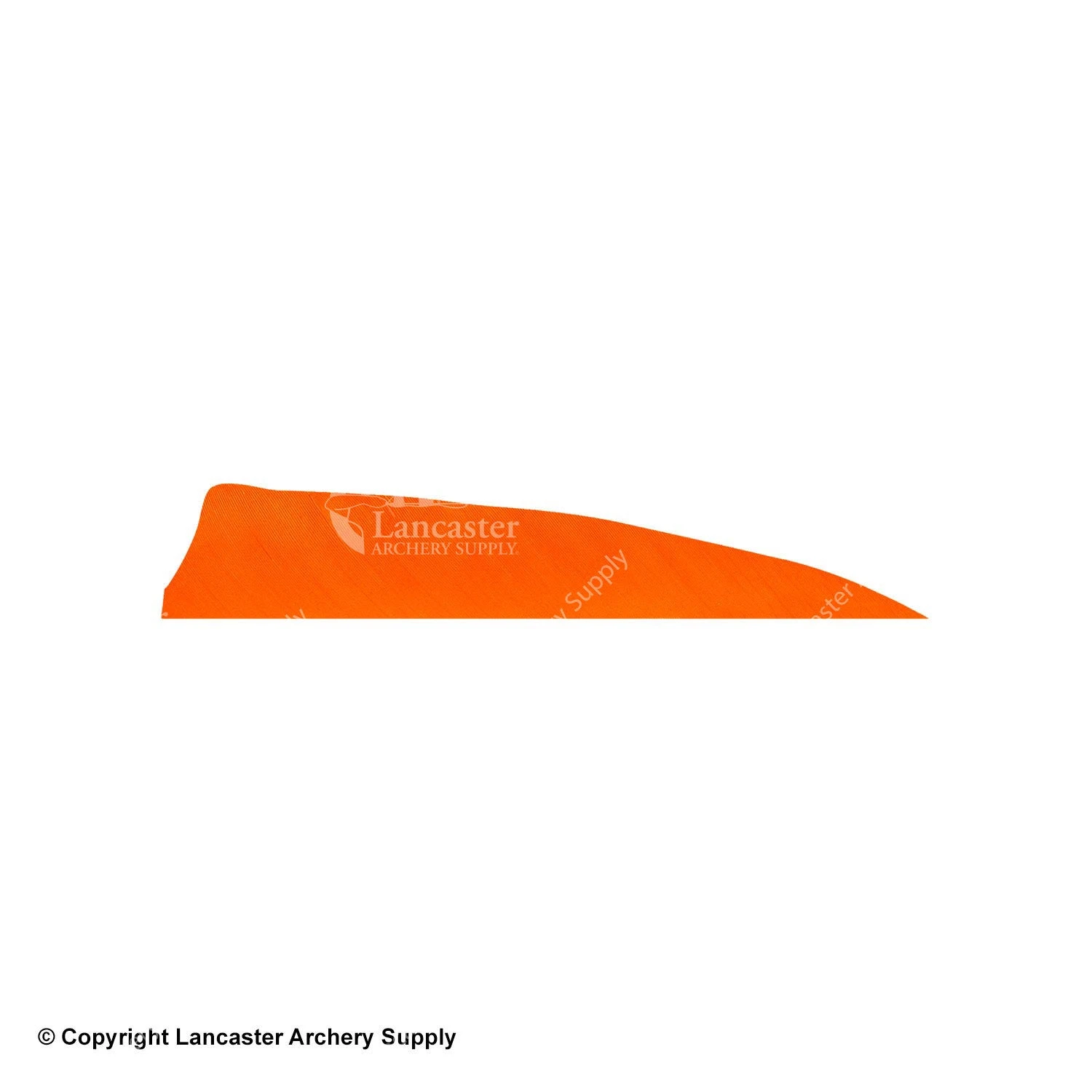 Gateway 5" Shield Feather 14 Gateway 5" Shield Feather - Image 14