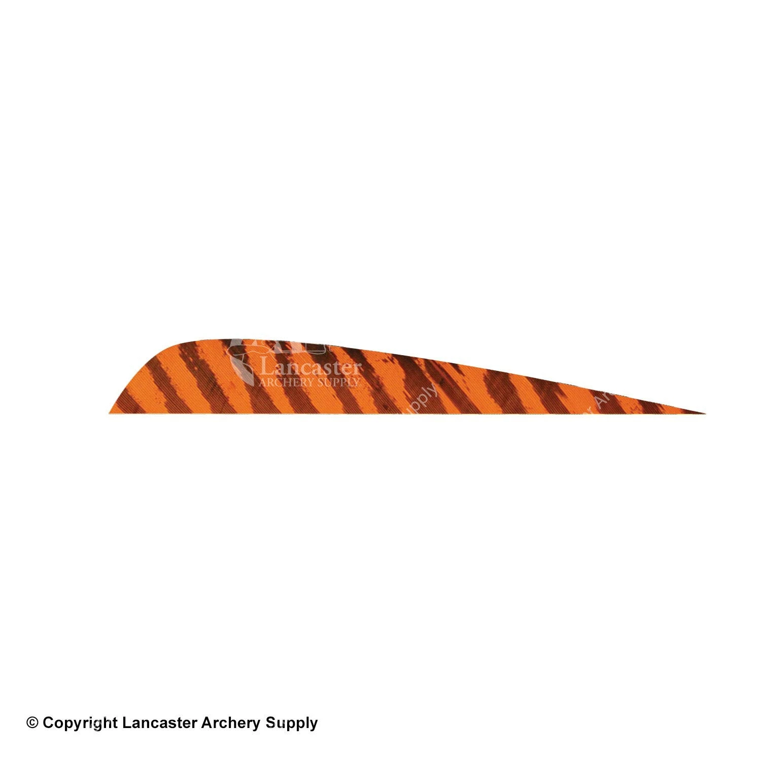 Gateway 5" Parabolic Barred Feather 8 Gateway 5" Parabolic Barred Feather - Image 8