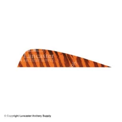 Gateway 4" Parabolic Barred Feather -Shooting Gear Store 2270026 orange