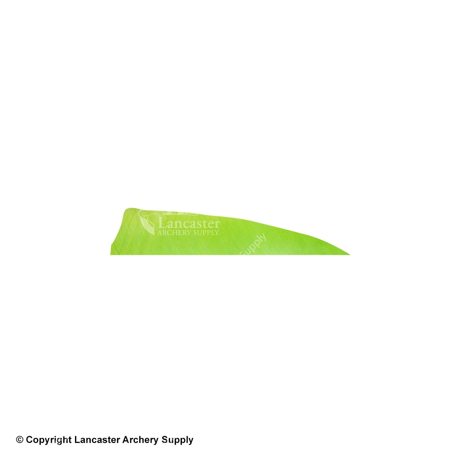 Gateway 3" Shield Feather 4 Gateway 3" Shield Feather - Image 4