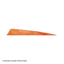 Gateway 4" Shield Tre Camo Feather -Shooting Gear Store 2270044 orange white