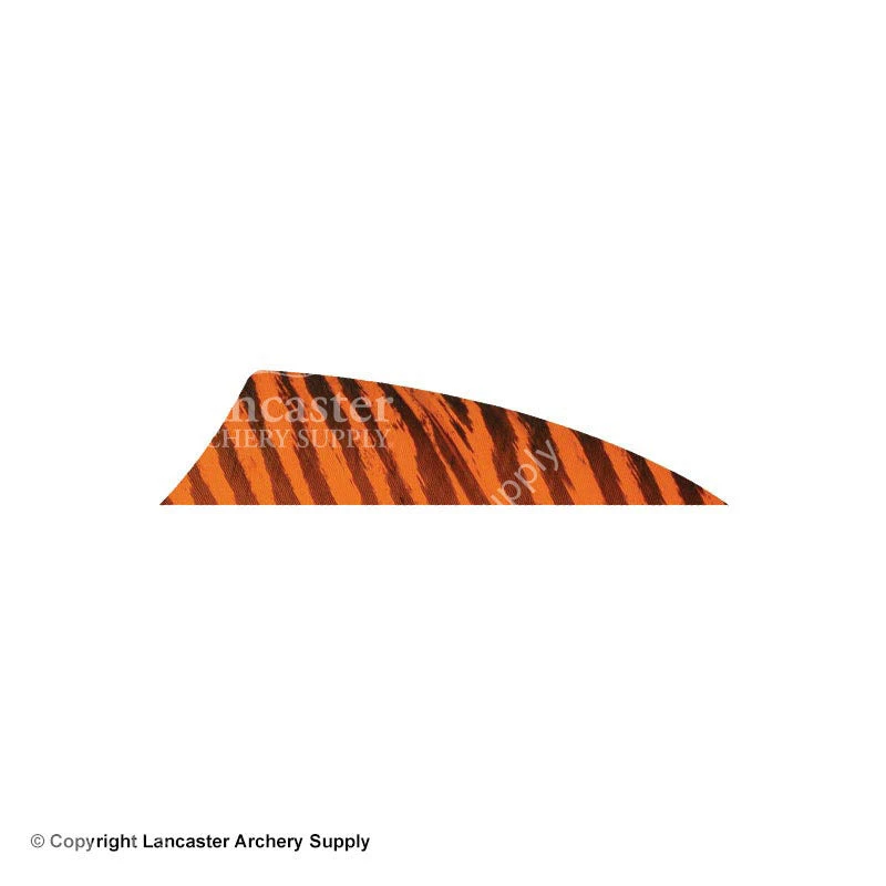 Gateway 2" Rayzr Barred Feather (Right Wing) 3 Gateway 2" Rayzr Barred Feather (Right Wing) - Image 3