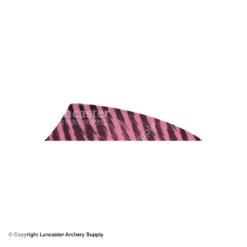 Gateway 2" Rayzr Barred Feather (Right Wing) 16 Gateway 2" Rayzr Barred Feather (Right Wing) -Shooting Gear Store 2270053 pink