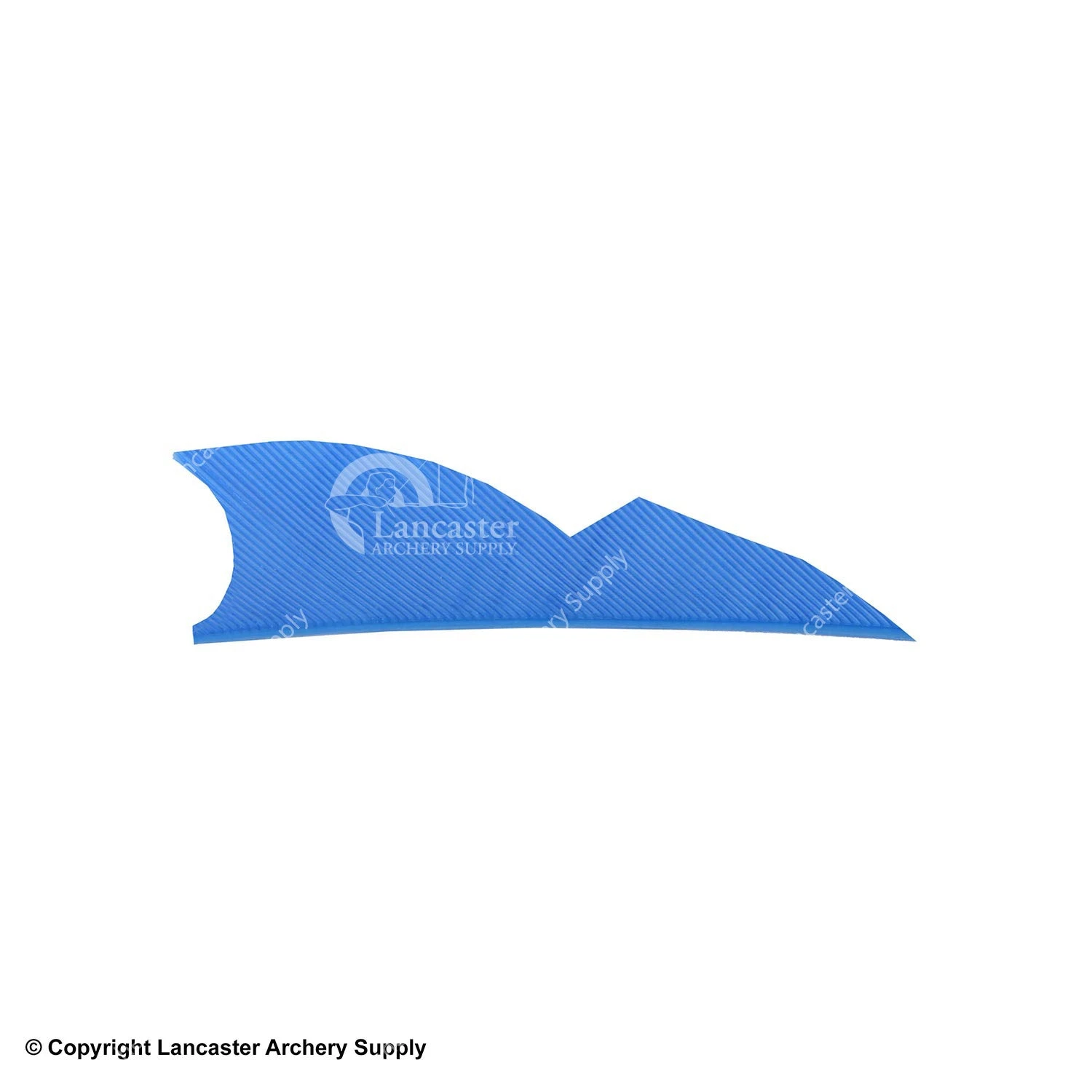 Gateway 2" Batwing Feather 13 Gateway 2" Batwing Feather - Image 13