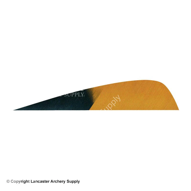 Gateway 3" Parabolic Hann-Bun Kuro Feather 4 Gateway 3" Parabolic Hann-Bun Kuro Feather - Image 4