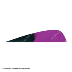 Gateway 4" Parabolic Hann-Bun Kuro Feather -Shooting Gear Store 2270073 purple