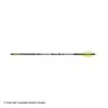 Gold Tip Velocity Valkyrie XT Fletched Arrows