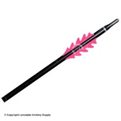 BJORN DragonFlight Vanes (2-1/4") -Shooting Gear Store 2420001 magenta