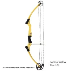 Genesis Archery Original Genesis Bow (Colors) -Shooting Gear Store 3110064 lemonyellow