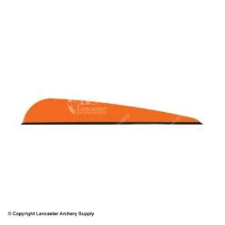 Q2i DV-X 4.0" Vanes -Shooting Gear Store 3350040 orange