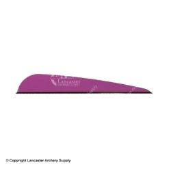 Q2i DV-X 4.0" Vanes -Shooting Gear Store 3350040 purple
