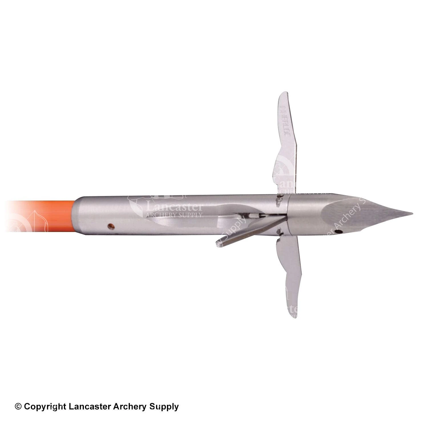 Innerloc 3 Barb Grapid Bowfishing Point 1 Innerloc 3 Barb Grapid Bowfishing Point