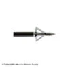 Wasp Drone Broadheads (100 Gr.)