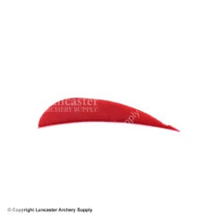 Trueflight 3" RW Round Back Feather -Shooting Gear Store 5200003 scarlet red 20e3b7d6 279d 4057 bd2b 3c8e71c1b4ba