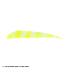 Trueflight Brite Stripes 4" RW Round Back Feather -Shooting Gear Store 5200006 chartreuse white