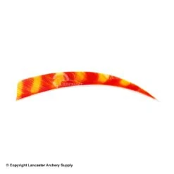 Trueflight Brite Stripes 5" RW & LW Shield Back Feather -Shooting Gear Store 5200007 char orange