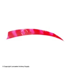 Trueflight Brite Stripes 5" RW & LW Shield Back Feather -Shooting Gear Store 5200007 red pink