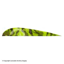 Trueflight Camo 4" RW Round Back Feather 15 Trueflight Camo 4" RW Round Back Feather -Shooting Gear Store 5200010 chartreuse
