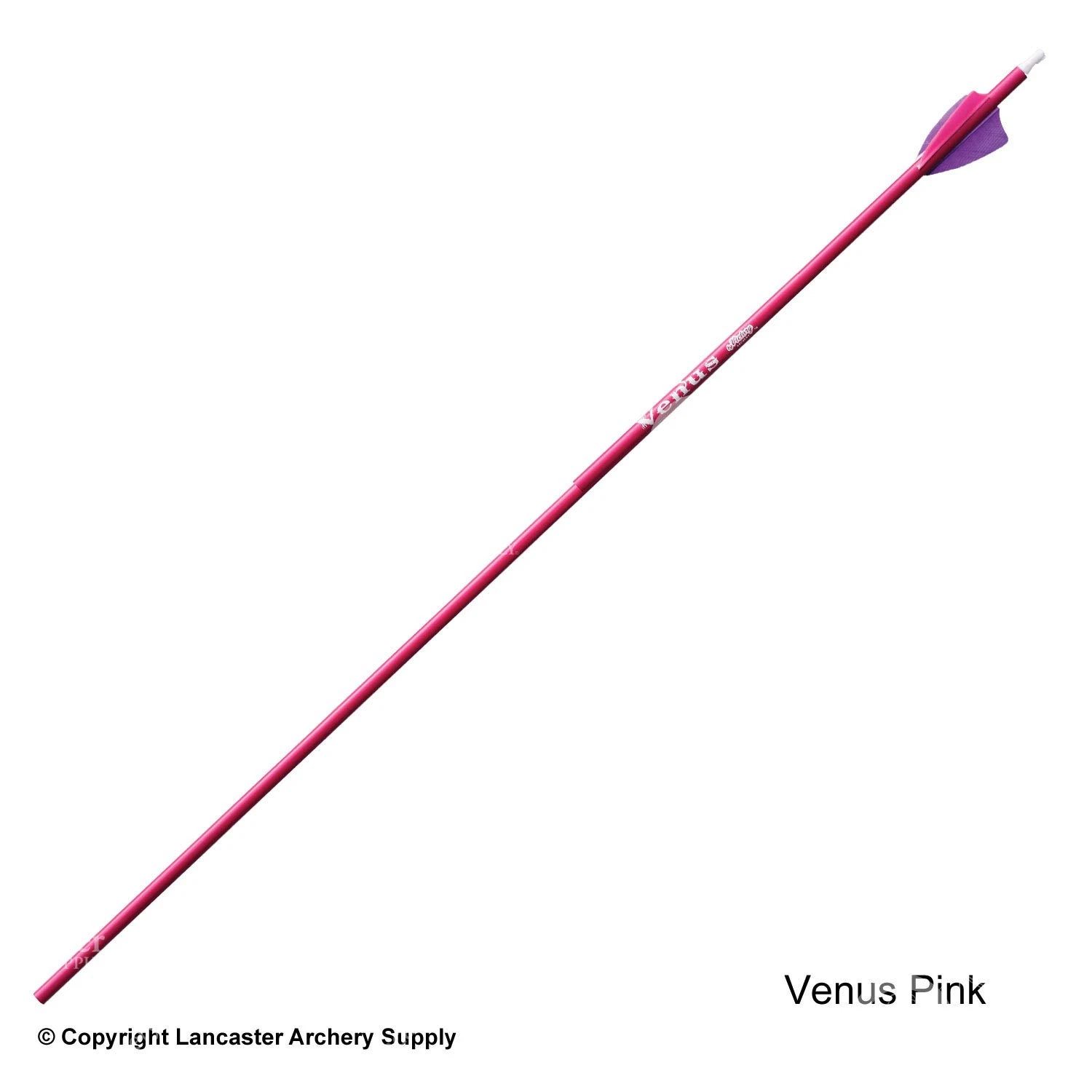 Victory Ares / Venus Youth Fletched Arrow 4 Victory Ares / Venus Youth Fletched Arrow - Image 4