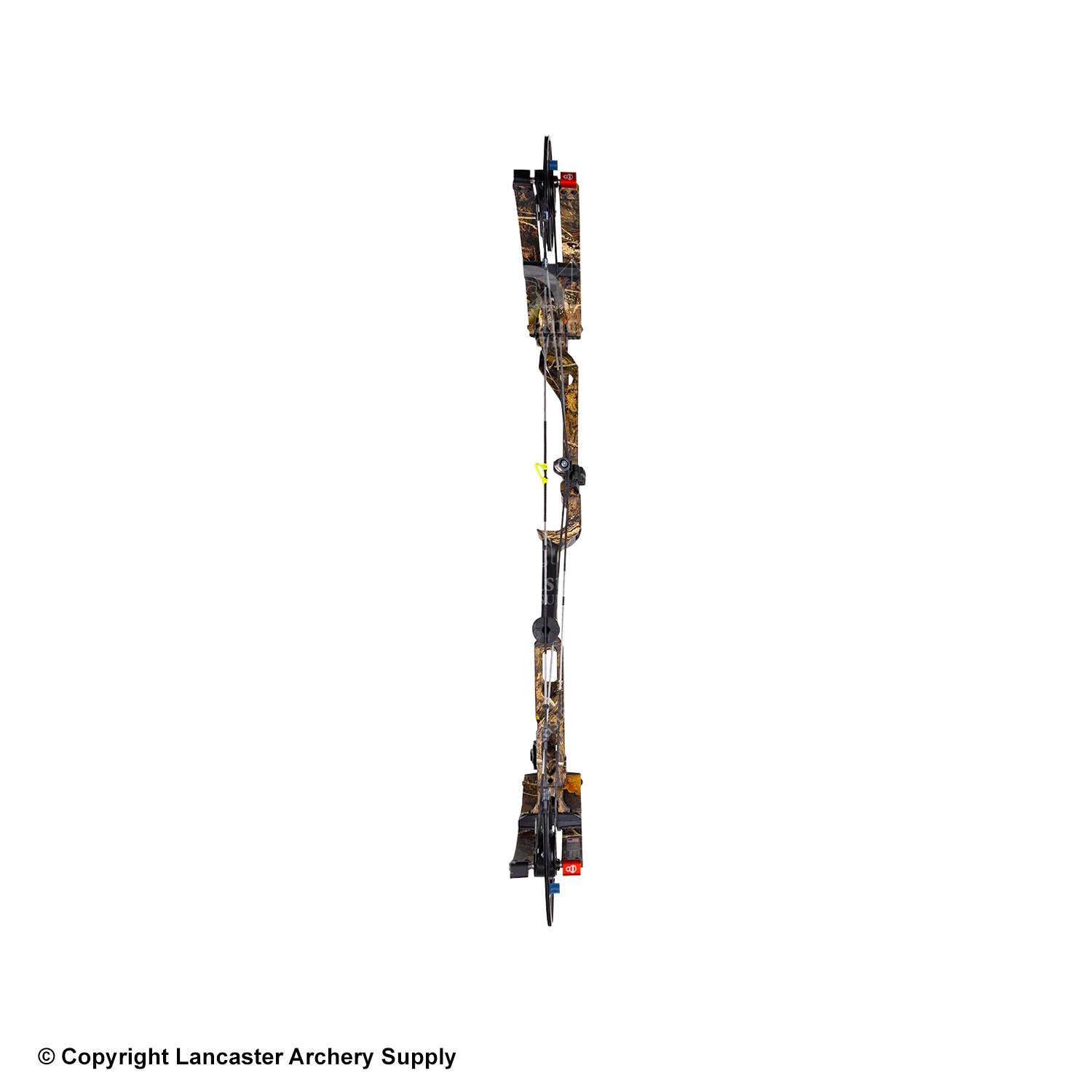 Bowtech CP30 Compound Hunting Bow 4 Bowtech CP30 Compound Hunting Bow - Image 4